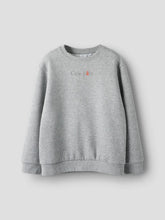 Laden Sie das Bild in den Galerie-Viewer, SWEATER &quot;GRIS PALE&quot; MALE