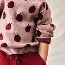 Load image into Gallery viewer, KNIT SWEATER "Glückskäfer"