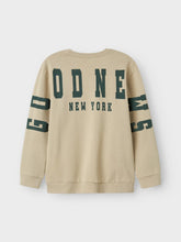 Load image into Gallery viewer, SWEATER &quot;NEW YORK&quot; lichtgrün MALE