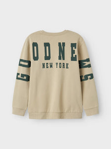 SWEATER "NEW YORK" lichtgrün MALE
