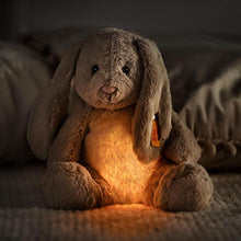 Load image into Gallery viewer, Hoppie Hase mit Licht (Steiff)