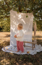 Laden Sie das Bild in den Galerie-Viewer, FROTTEE SWEATER "Ente" Beige